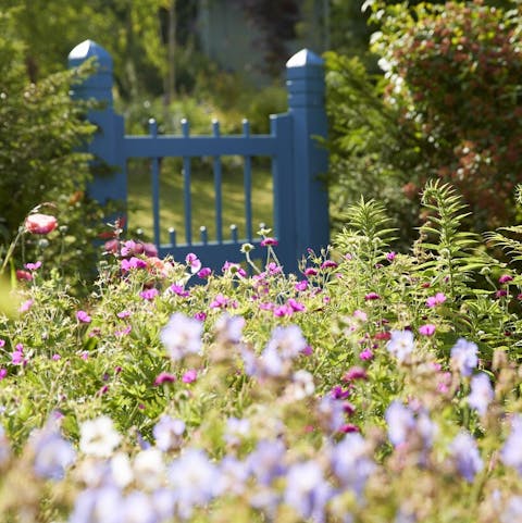 The garden is especially vibrant in the summer