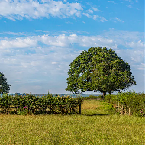 Explore Norfolk's beautiful countryside on brisk hikes along country lanes and public footpaths