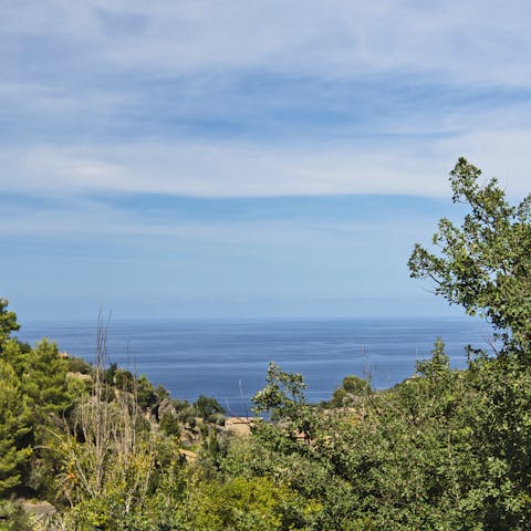 Admire the ocean view from the terrace