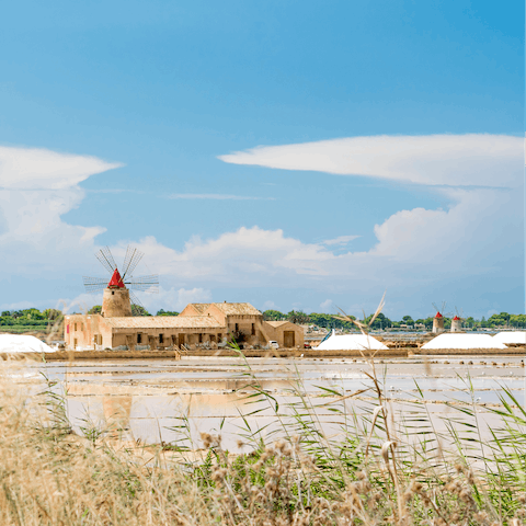 Tour the centuries-old Saline of the Laguna