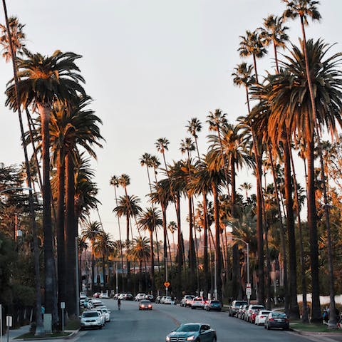 Spend the day celeb spotting on the pristine streets of Beverly Hills