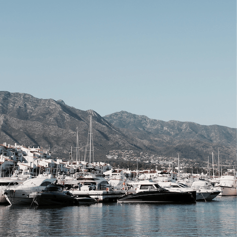 Charter a boat from nearby Puerto Banus Marina for the day 