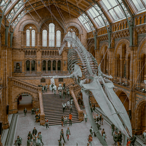 Ride the London Underground for eleven minutes to the fascinating Natural History Museum