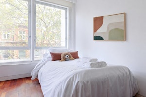 Shaftesbury Sophistication image 11
