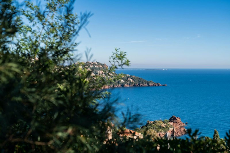 Golden Heart additional image