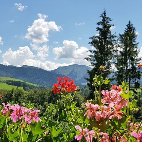 Enjoy the stunning mountain vistas of the Allgau region 