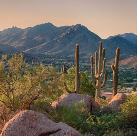 Hike the trails of the surrounding Santa Rosa Mountains