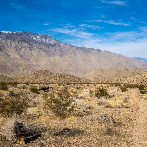Drive to the sublime Indian Canyons in under half an hour