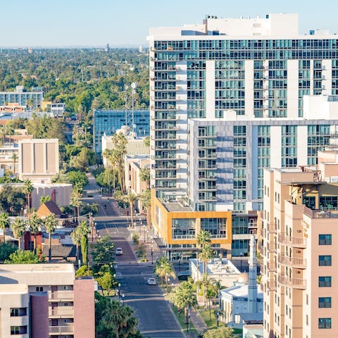 Explore the palm-lined streets of Tempe