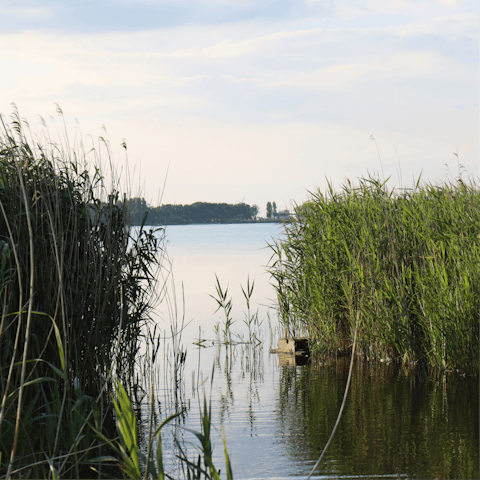 Spend an afternoon fishing or boating on Lake Veluwemeer, five minutes' drive from the home
