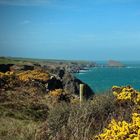 Explore the beautiful Pembrokeshire National Park, right on your doorstep