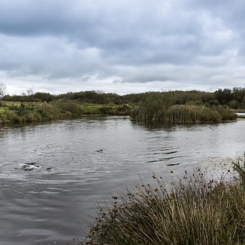 Fish in the on-site lake for trout and carp