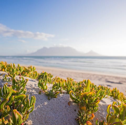 Sink your feet into the sand and breathe in the sea air at nearby Clifton beach