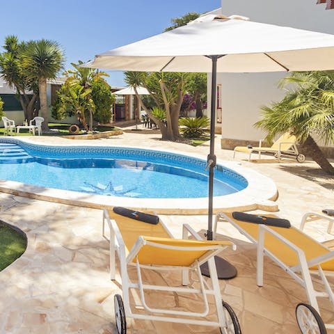 Chill out on the poolside loungers in the Ibizan sunshine