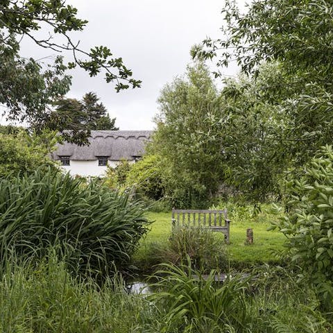 Watch dragonflies by the pond and keep an eye out for the guinea fowl that calls the garden home