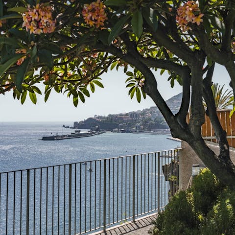 Gaze out over Funchal from your clifftop location, east of the island's capital city