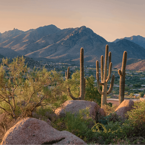 Explore the natural desert beauty around Scottsdale