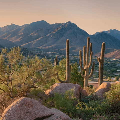 Explore the natural desert beauty around Scottsdale