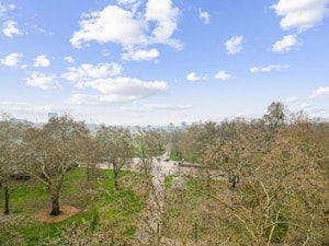 Hyde Park Grandeur image 14