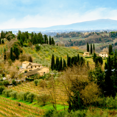 Swap sweeping cityscapes for rolling hills by visiting the Florentine countryside