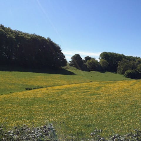 Explore the stunning countryside from one of many walking paths 