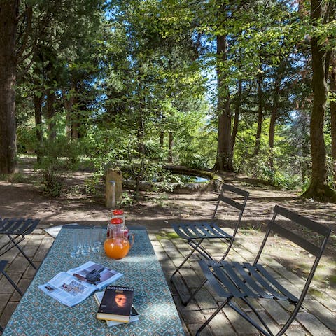 Sit out under the canopies of trees and enjoy a drink and a good book as you breathe in the fresh air