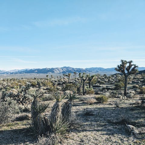 Take in sweeping views of the desert from the patio seating area