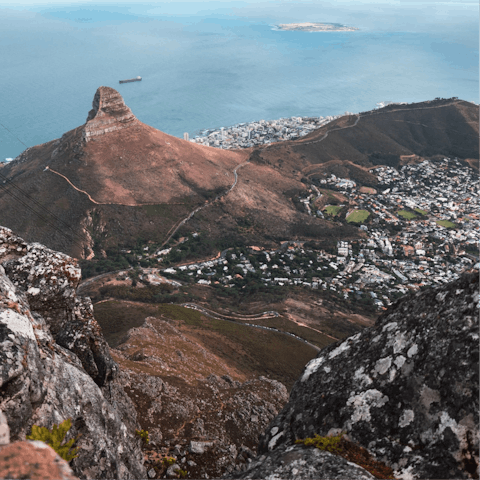 Head up Table Mountain via its Aerial Cableway, less than 5 km from home
