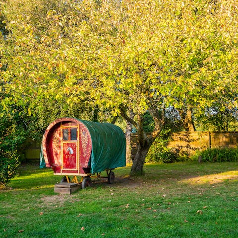 A mini gypsy caravan in the garden