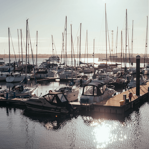 Stroll through Ocean Village, just a ten-minute walk away