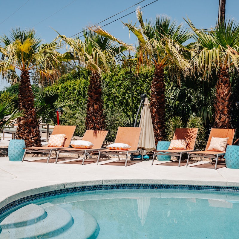 Lounge by the palm fringed pool or have a dip to cool off