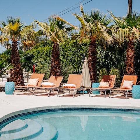 Lounge by the palm fringed pool or have  a dip to cool off