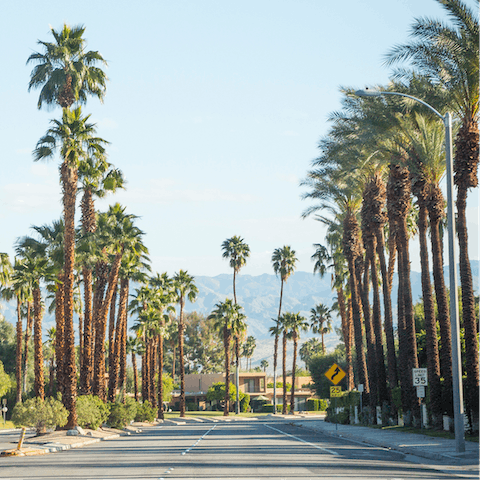 Discover all that Palm Springs has to offer, just over a five-minute drive away