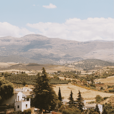Go for a stroll through the dreamy Andalusian countryside