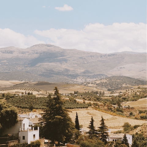 Go for a stroll through the dreamy Andalusian countryside