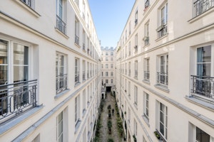 Haussmannian Masquerade image 4