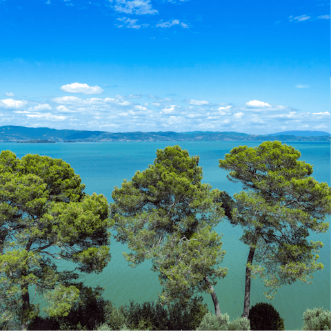 Drive down to Lake Trasimeno with its beaches and nature trails