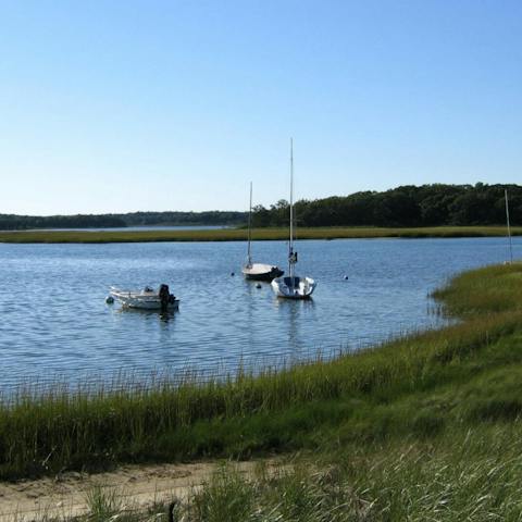 Walk to the East Harbour waterfront in just thirteen minutes