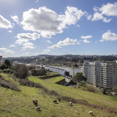Stay local to Valbom, a former fishing village, and walk along the River Douro 