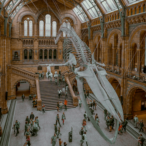Walk fourteen minutes to the world-famous Natural History Museum 