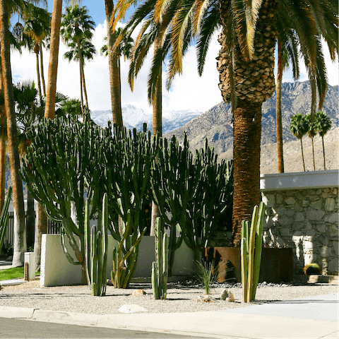 Stay in a superb Palm Springs location