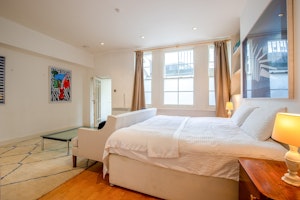 Pimlico & the Thames image 9