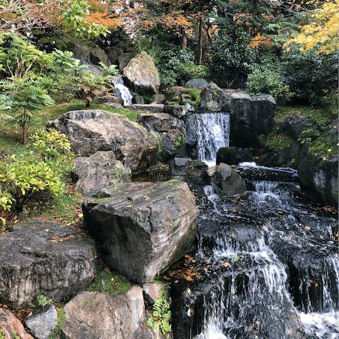 Stretch your legs in Holland Park – it's a twenty-minute walk away