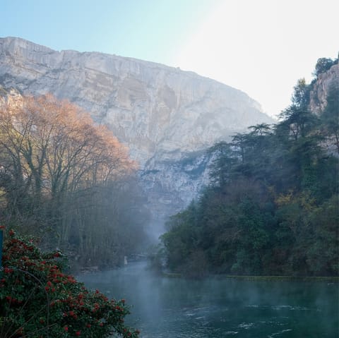 Discover the spectacular scenery of Vaucluse pine forest, home to landscapes that once inspired Impressionist painters