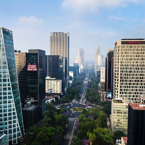 Discover the electric streets of La Condesa, right on your doorstep
