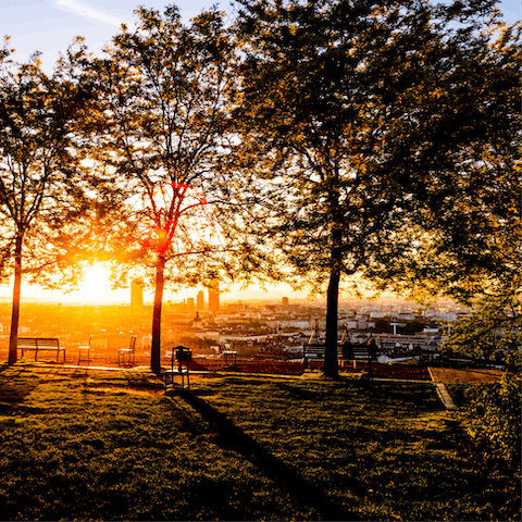 Watch the sun rise over the city from the viewpoint in the Jardin des Curiosités