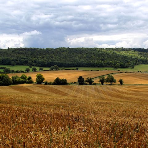 Explore the Chiltern Hills, a fifteen-minute drive away