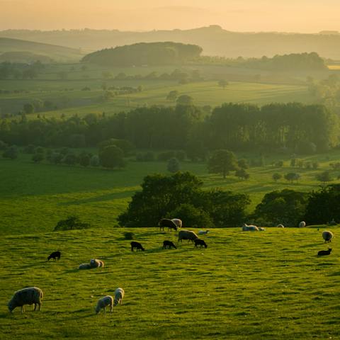 Stay on a working farm in Oxfordshire