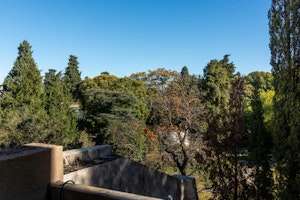 Treetops over Montpellier image 3