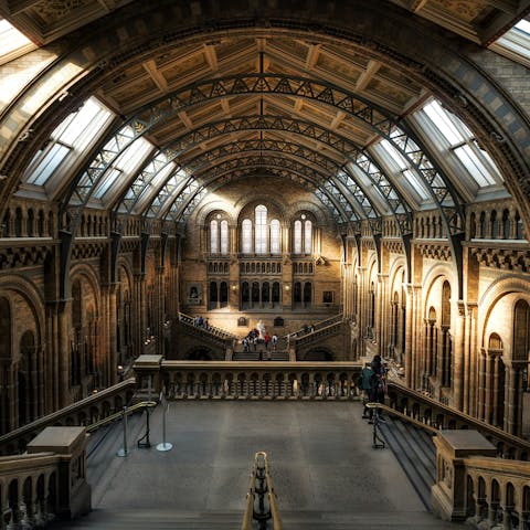 Spend a fun-filled afternoon exploring the Natural History Museum 